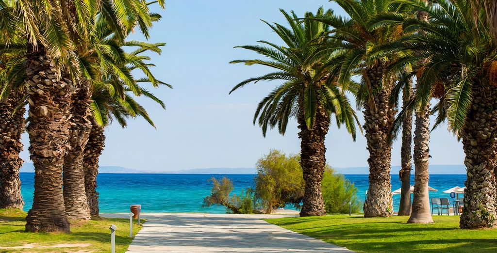Kassandra Palace Seaside Resort 