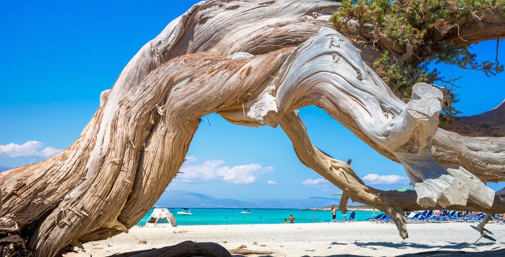 Enorme Maya Beach 4* - Adults Only