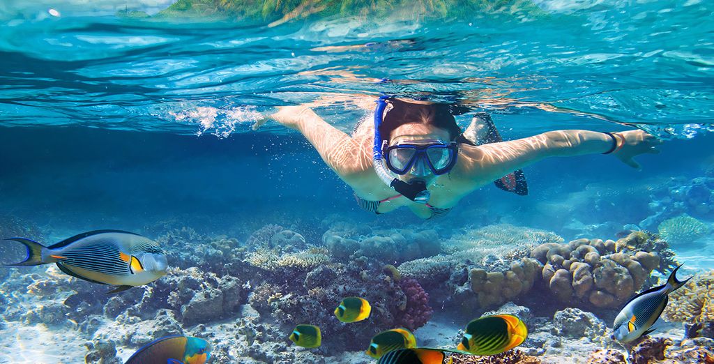 Snorkeling with Voyage Privé