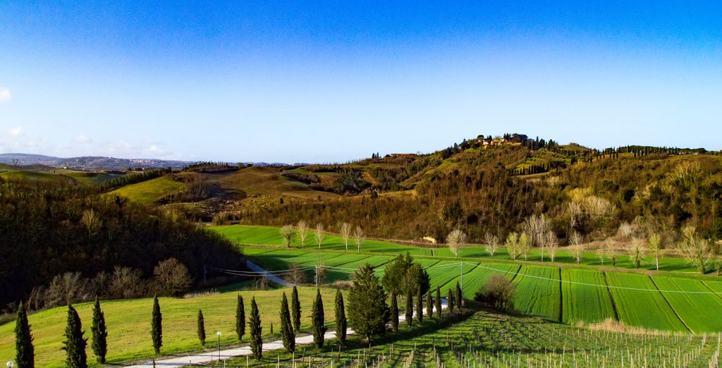 The Florence Hills Resort & Spa 4*