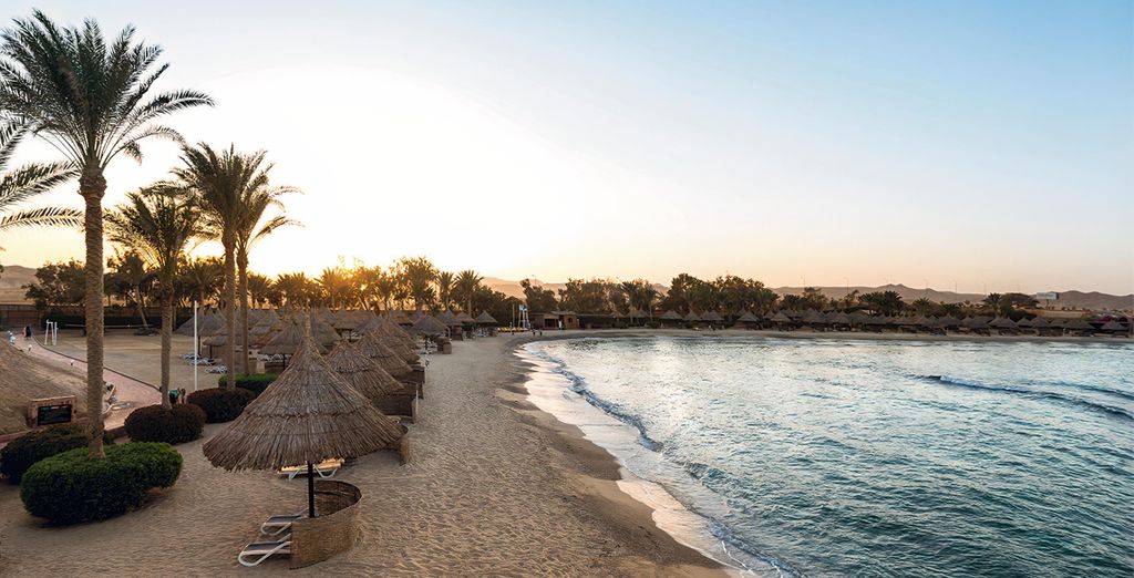 Mövenpick Resort El Quseir 5*