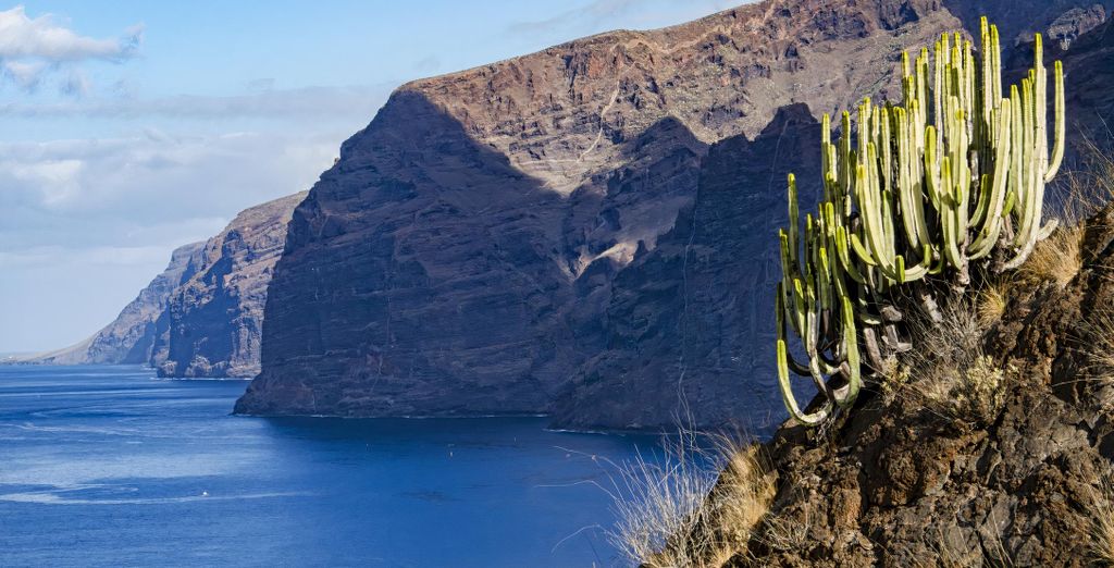 HD Parque Cristobal Tenerife 