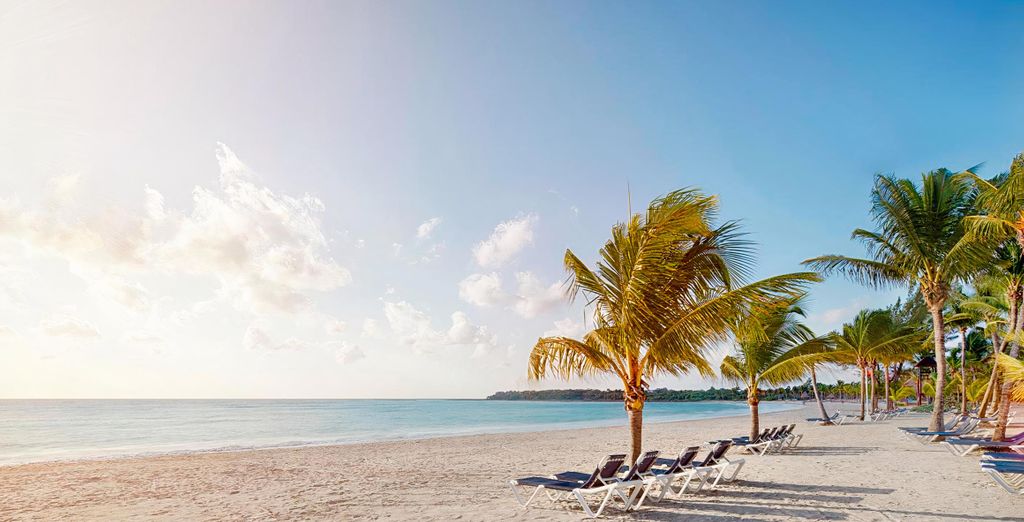 Tour en grupo: Maravillas de México con extensión a Barceló Maya Beach 4*