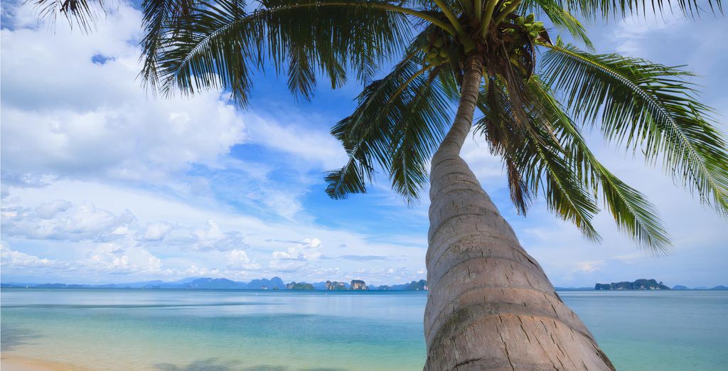 TreeHouse Villas Koh Yao Noi Luxury Beach Resort 5*
