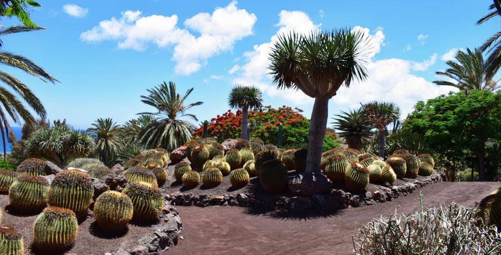Hotel Suites Fuerteventura 4* 