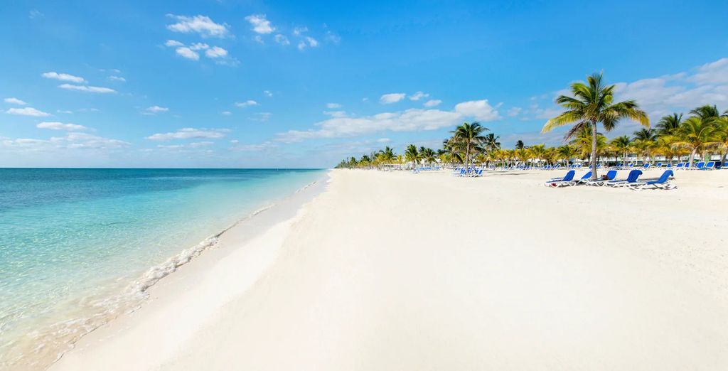 The Palms Hotel & Spa 4* e Viva Wyndham Fortuna Beach 4*