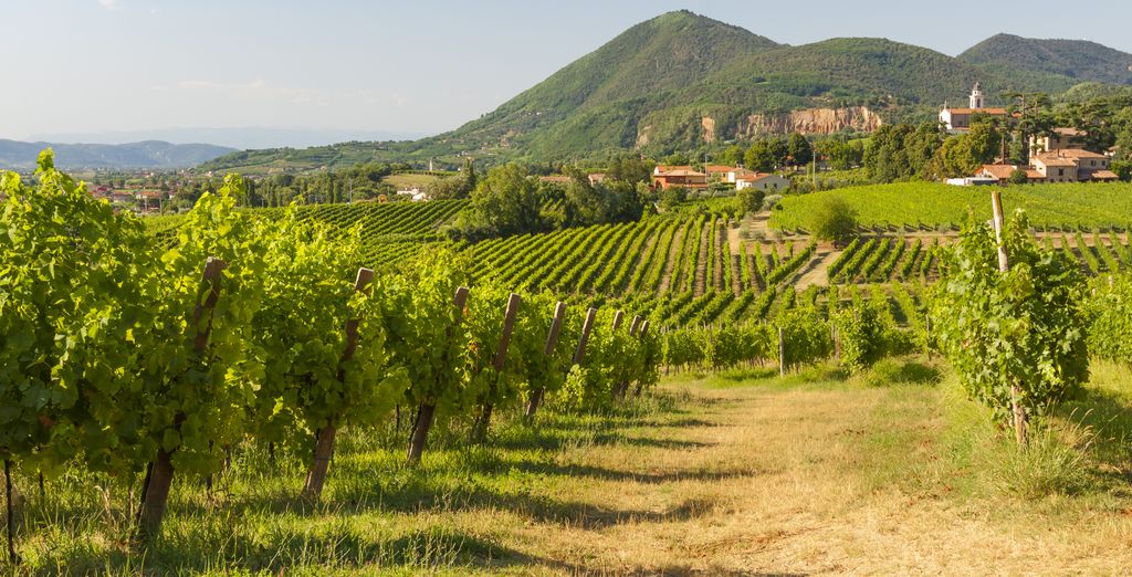 Hotel Première Abano Terme 5*