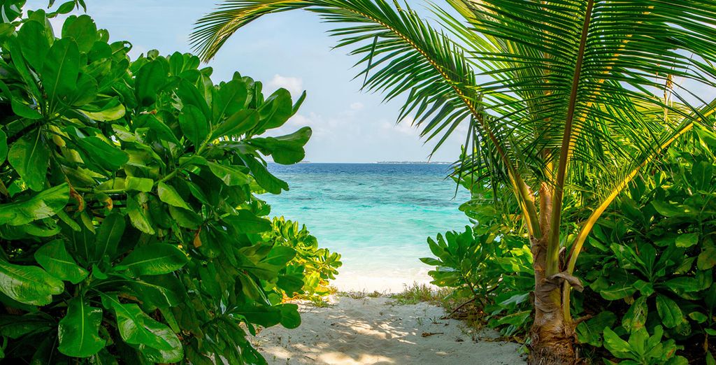 Furaveri Island Resort & Spa 5* con extensión posible en Dubái