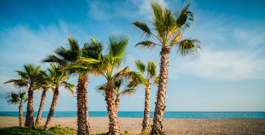 Vik Gran Hotel Costa Del Sol 4*