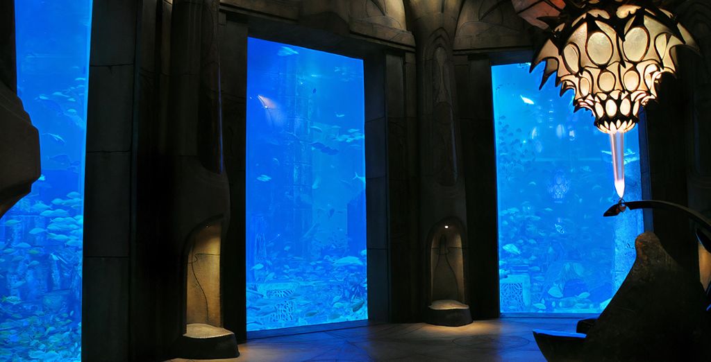 Atlantis The Palm 5*