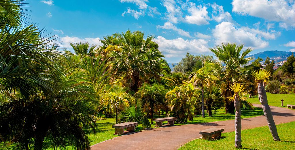 VidaMar Resort Hotel Madeira 5*