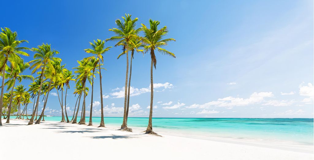The Palms Hotel & Spa 4* e Viva Wyndham Fortuna Beach 4*