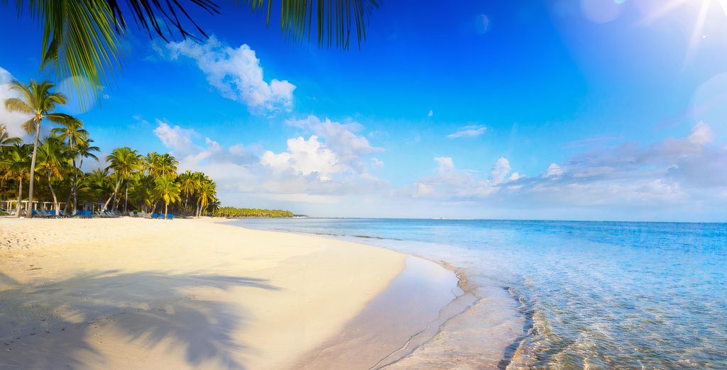 The Palms Hotel & Spa 4* e Viva Wyndham Fortuna Beach 4*