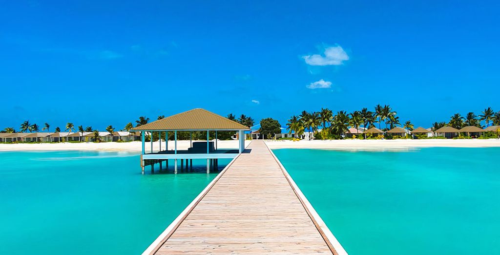 Tour di 6 notti in Sri Lanka con possibile estensione alle Maldive