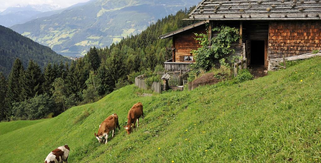 KOSIS Sports Lifestyle Hotel Fügen 4*