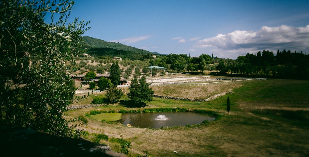 Fattoria degli Usignoli 4*