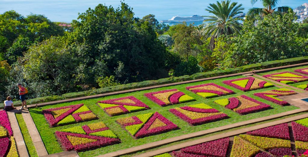 Quinta da Bela Vista 5*