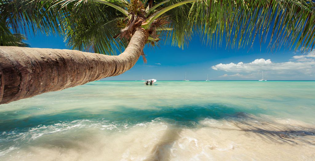 Combinato TRS Cap Cana e TRS Turquesa - Adults Only