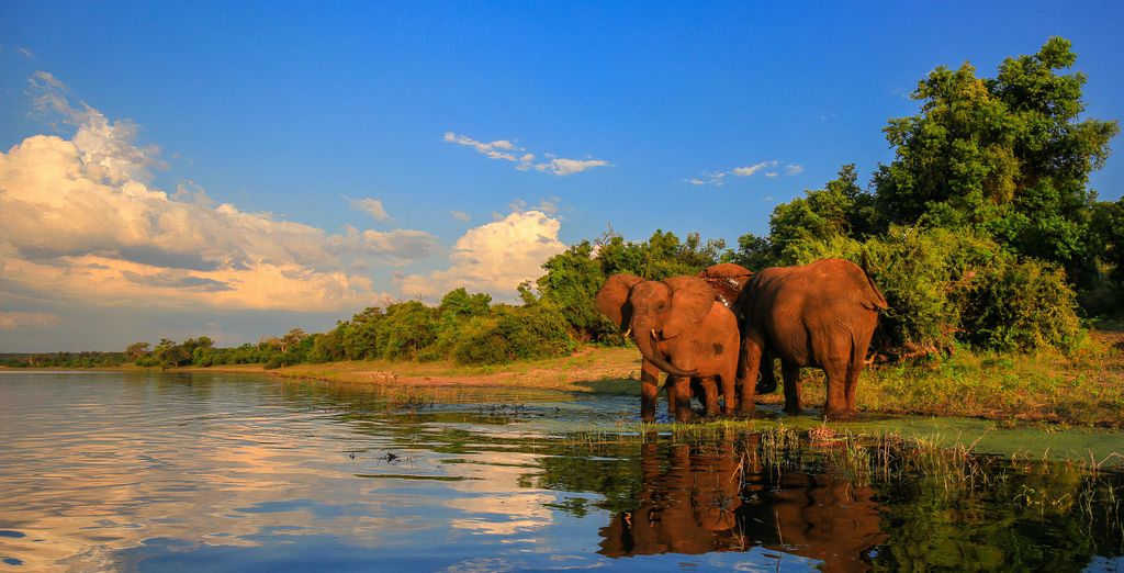 Kubu Safari Lodge 4*