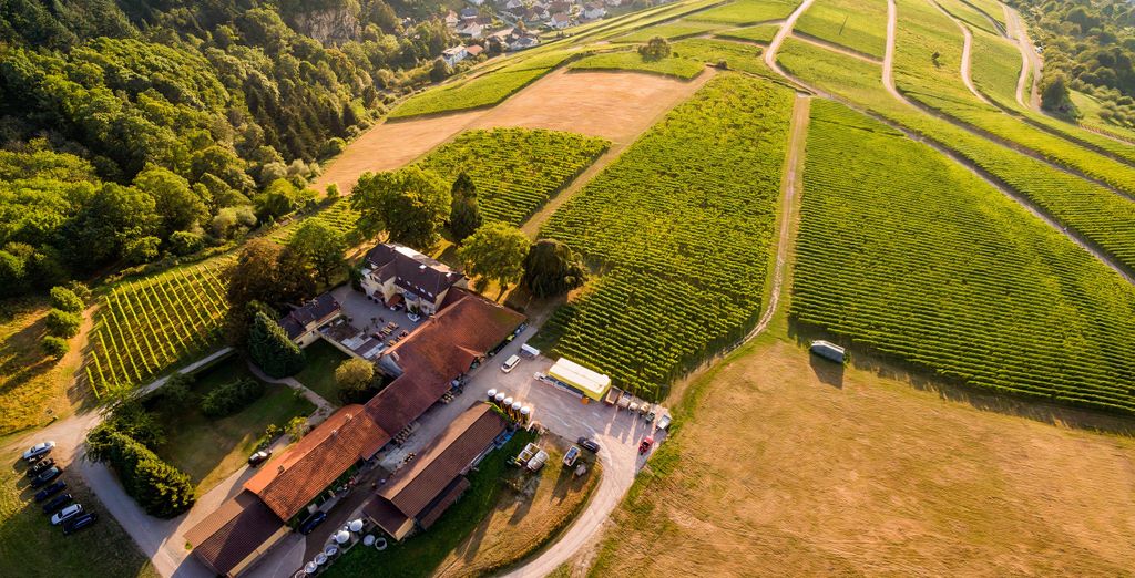 Die besten Freizeitmöglichkeiten in der Eifel