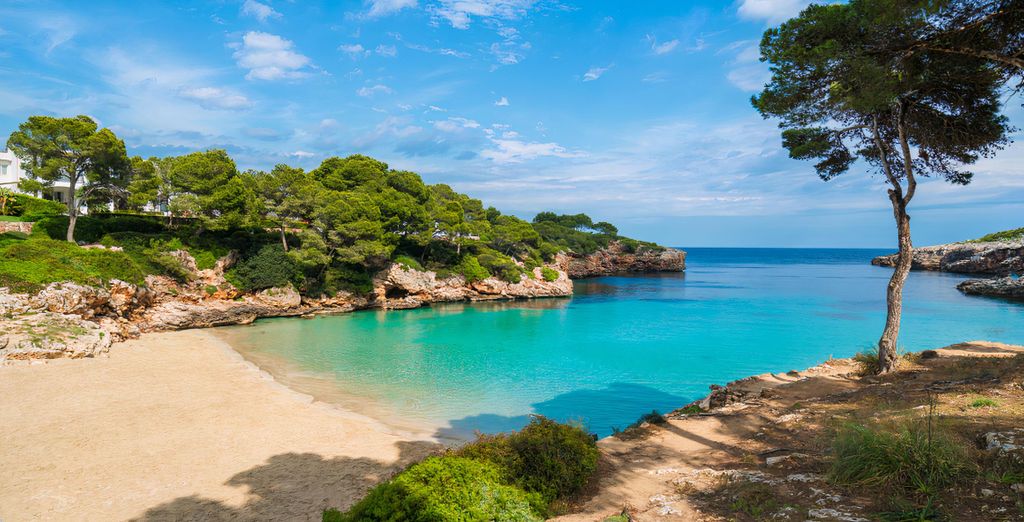 AluaSoul Mallorca Resort 4* - Adults Only