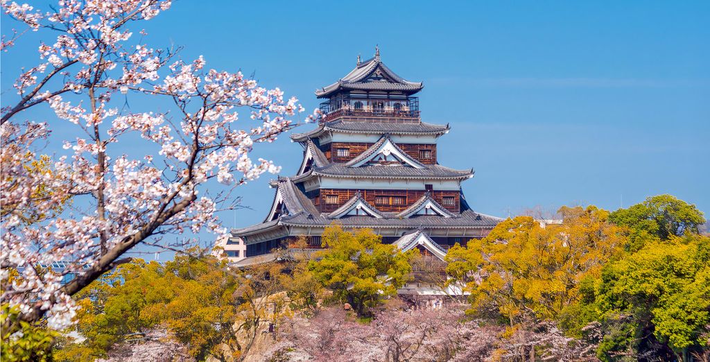 Soggiorno in libertà: Immersione nel Paese dei Samurai
