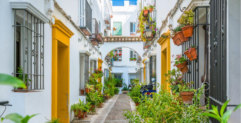 Autotour dell'Andalusia