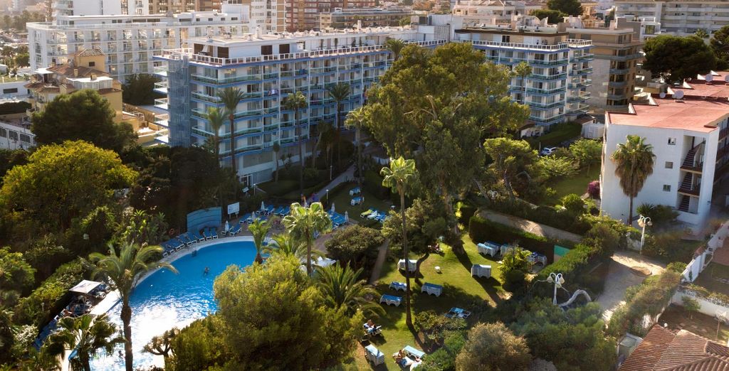 Palmasol 4*