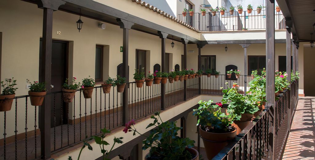 Patio De La Cartuja