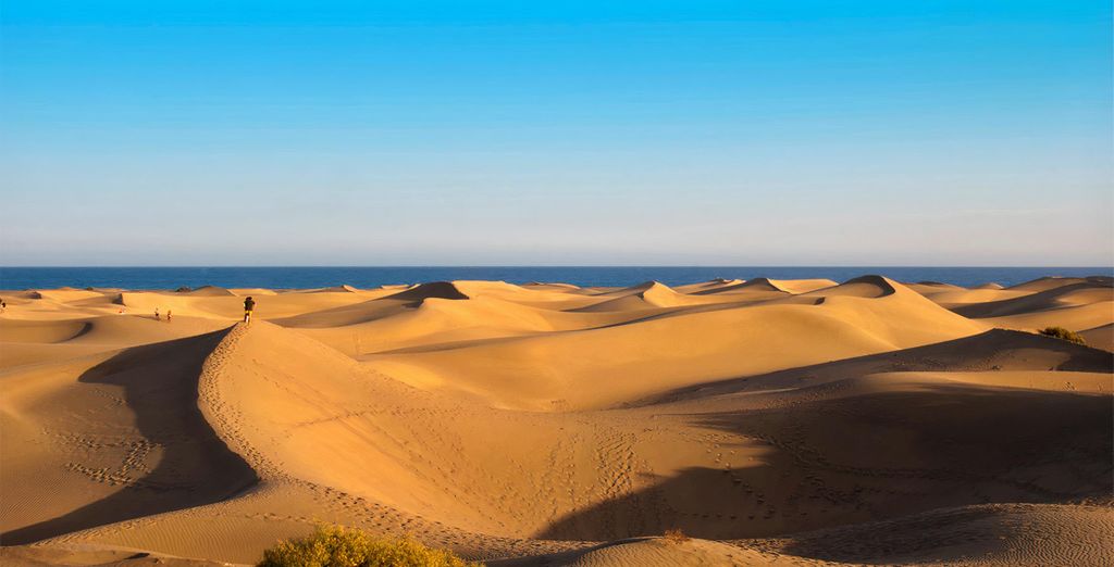 Silken Saaj Las Palmas 4*