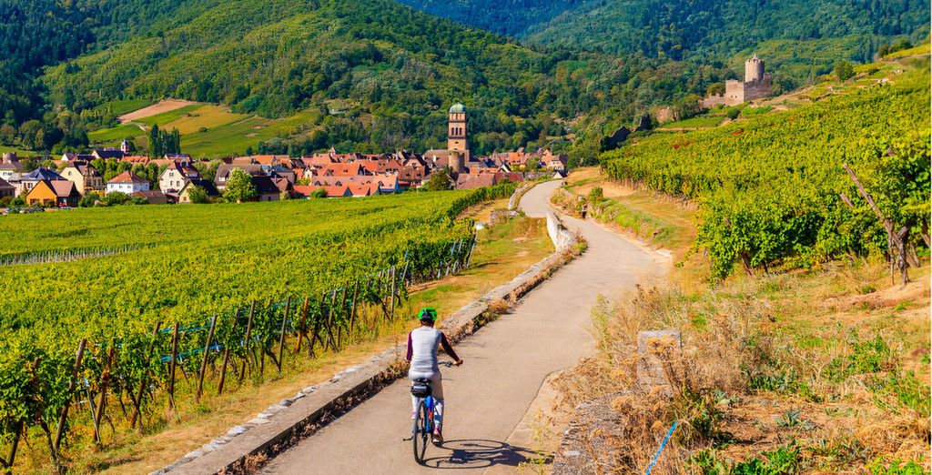 La Route des Vins d'Alsace à vélo en 5 jours/4 nuits