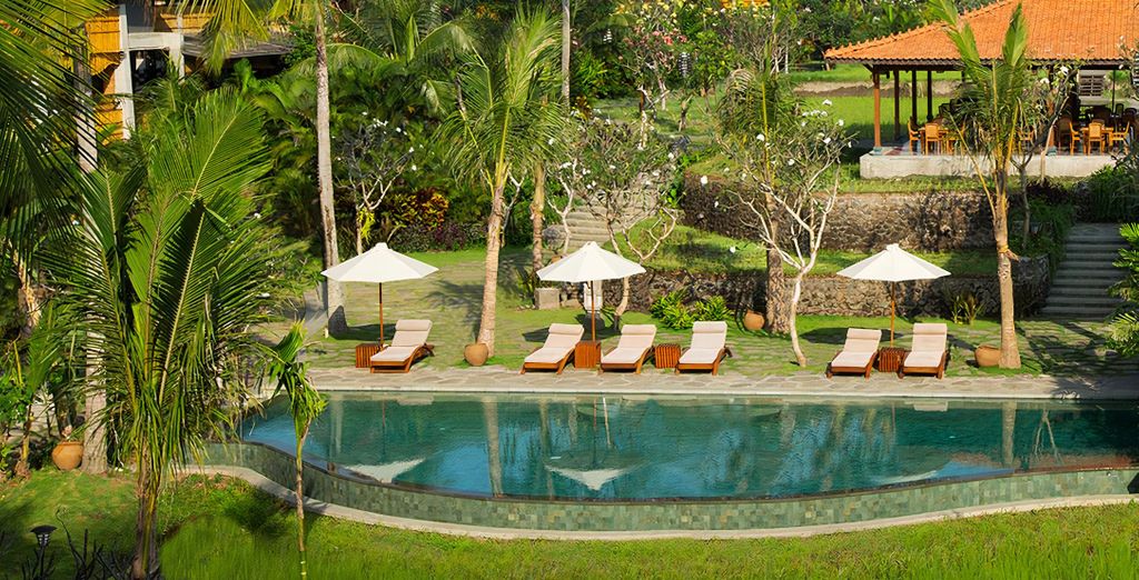 Alaya Resort Ubud 4*, Adiwana Warnakali Resort & Sofitel Bali Nusa Dua Beach Resort 5*
