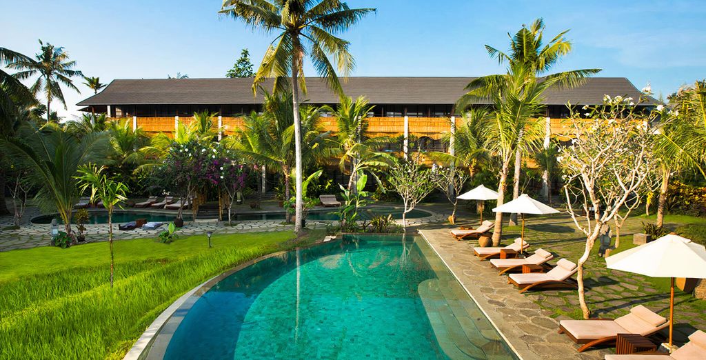 Alaya Resort Ubud 4*, Adiwana Warnakali Resort & Sofitel Bali Nusa Dua Beach Resort 5*