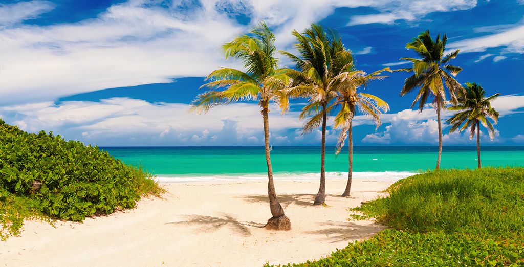 Royalton Hicacos Varadero 5* - Adults Only