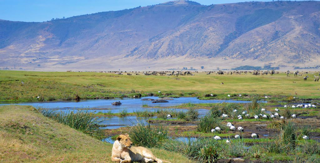 Safari nella natura ed estensione al Filao Beach By Sansi 4*
