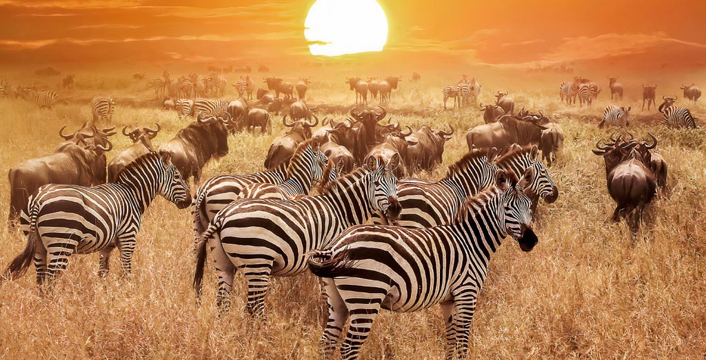 Safari nella natura ed estensione al Filao Beach By Sansi 4*