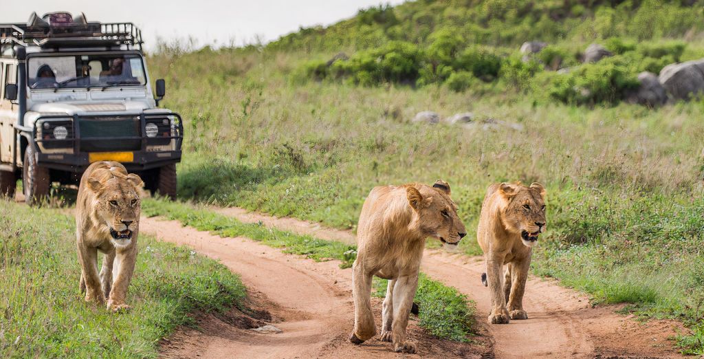 Safari con estensione al Pearl Beach by Sansi 4*