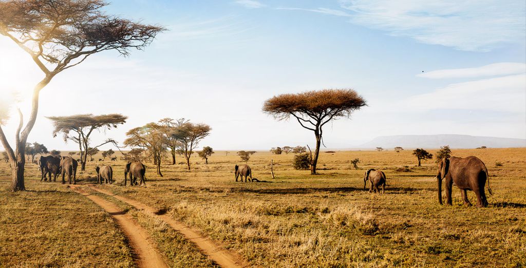 Safari privato nella natura e Karafuu Beach Resort & Spa 5*