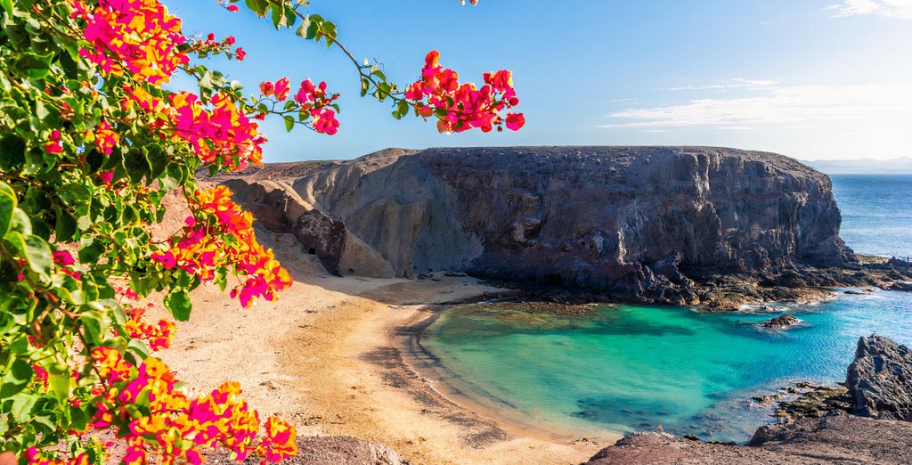 Lanzarote Prime Sports by Vitalclass Lanzarote Resort 4*