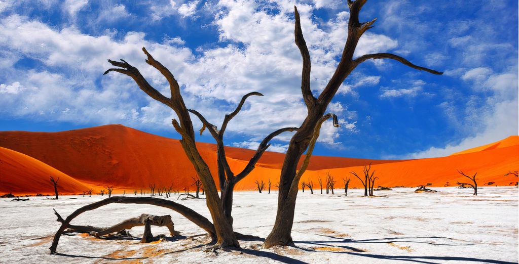 Autotour alla scoperta della Namibia in 10 o 13 notti