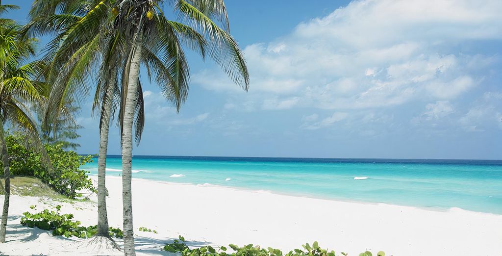 Combinado Meliá Habana 5* + Meliá Internacional 5*