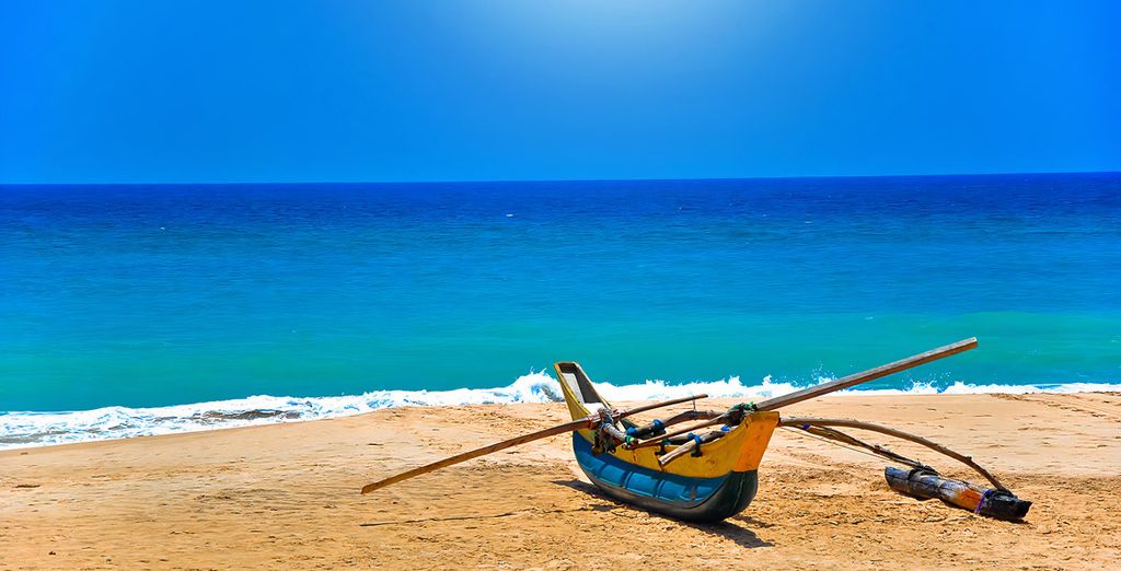Tour privato: Le meraviglie dello Sri Lanka ed estensione in spiaggia
