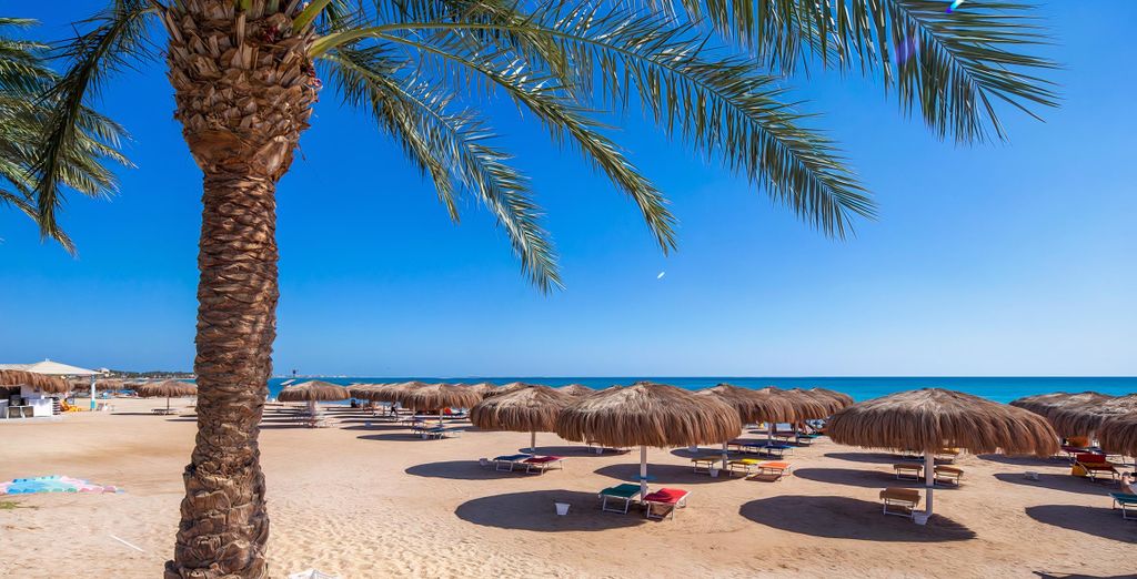 Caribbean World Resorts Soma Bay 5*