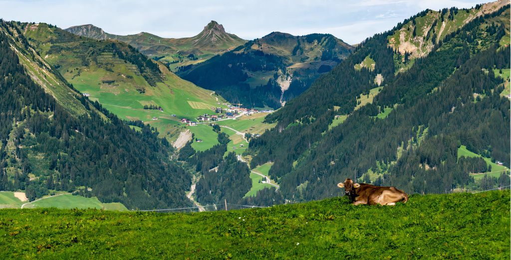Das Schäfer Spa Hotel 4* - Adults Only