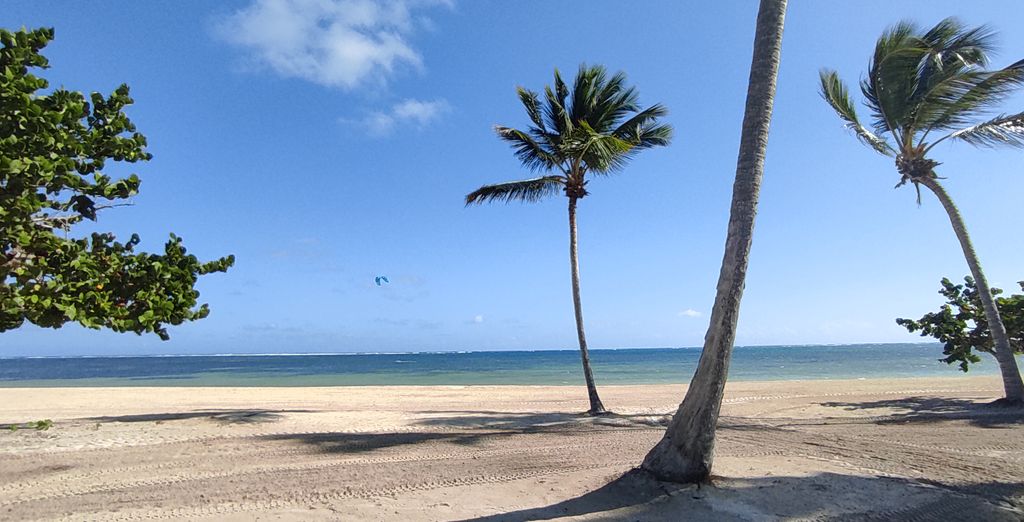 Serenade Punta Cana Beach & Spa Resort 5*