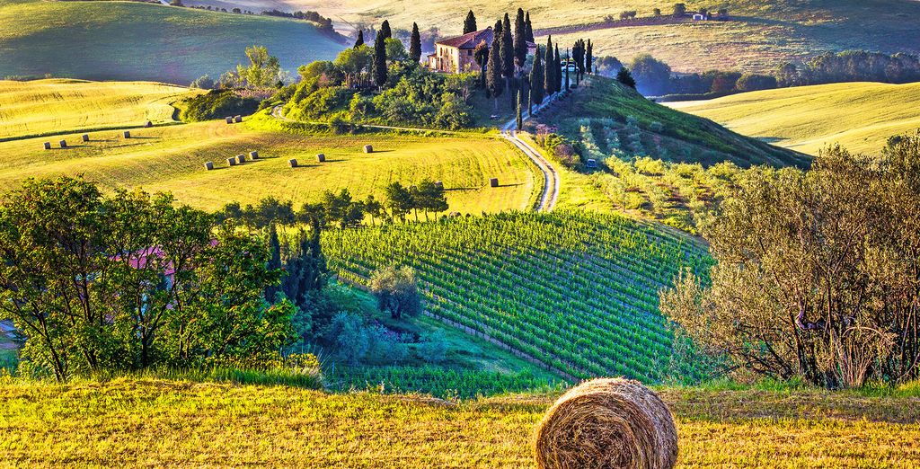 Autotour della Toscana tra Montecatini e Siena