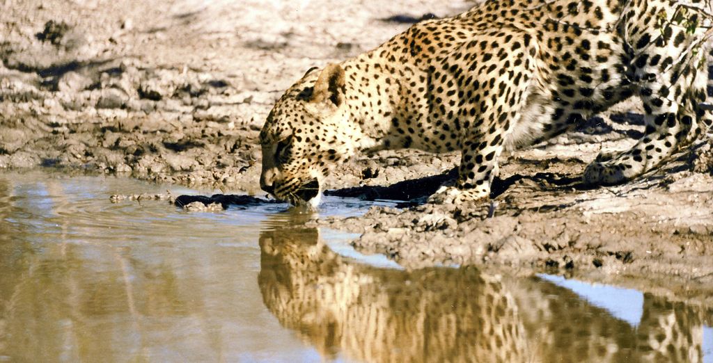Safari di 7 notti in aereo privato in Namibia