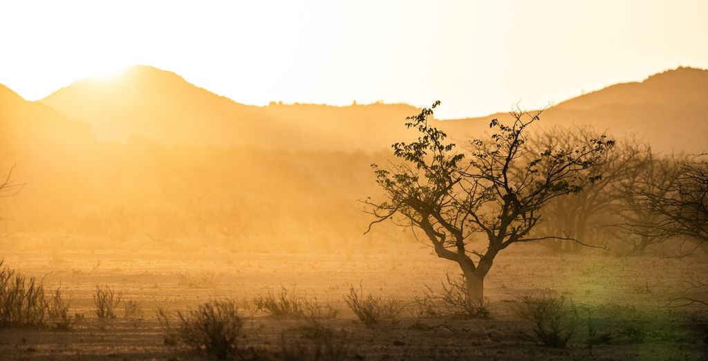 Safari di 7 notti in aereo privato in Namibia