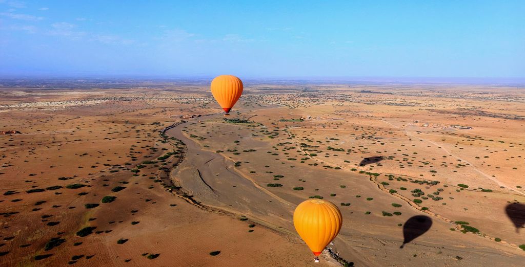 Tour: Safari in 4x4 ed esperienza in mongolfiera