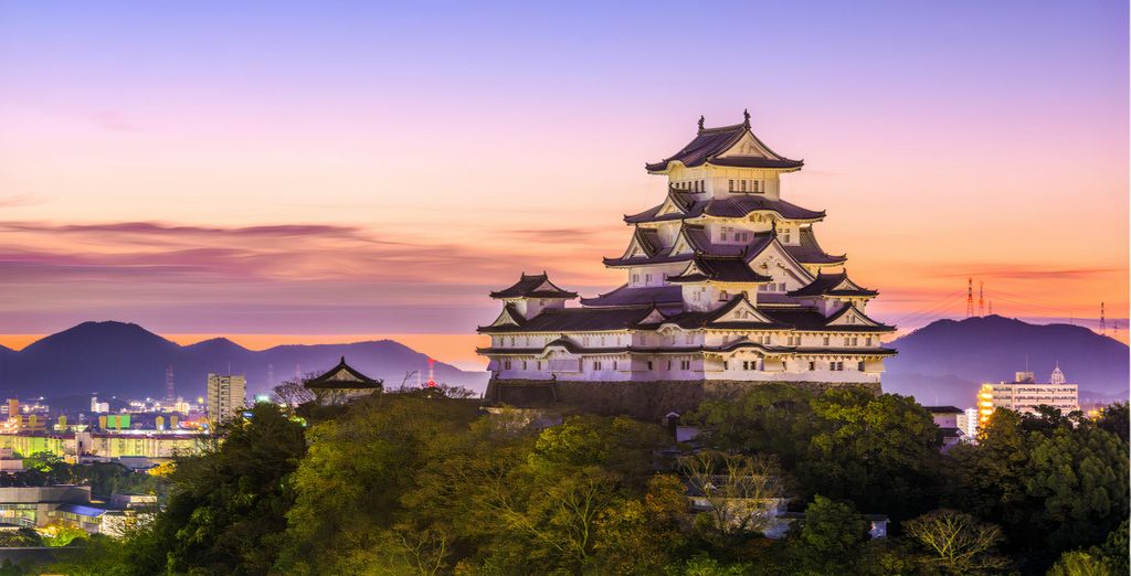 Soggiorno in libertà: Immersione nel Paese dei Samurai